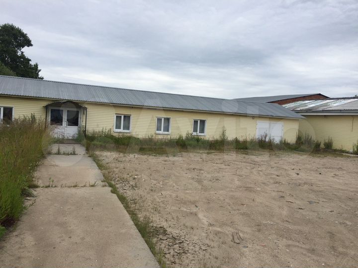 Торговая площадь, 146.5 м²