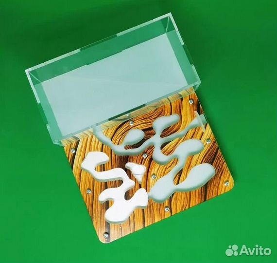 Муравьиная ферма с муравьями