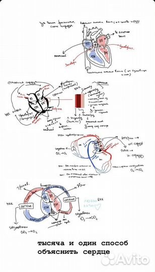 Репетитор по биологии егэ