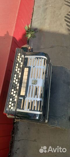 Баян концерт