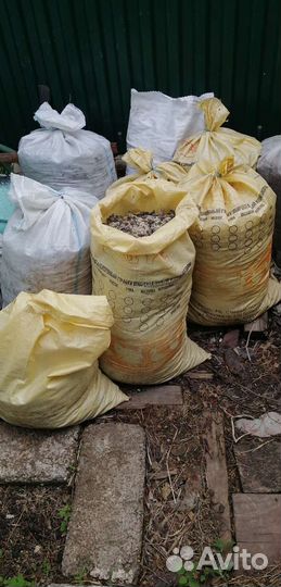 Курный помёт