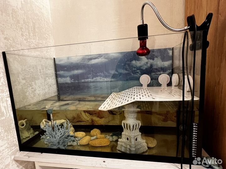 Аквариум для красноухой черепахи