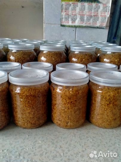 Грибы рыжики