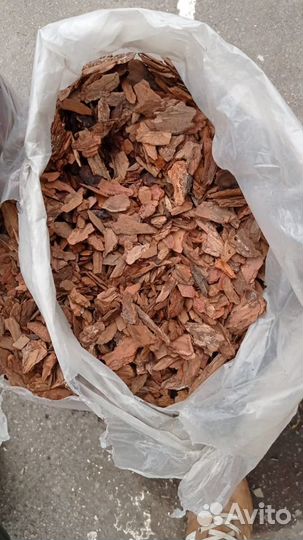 Кора сосны и лиственницы