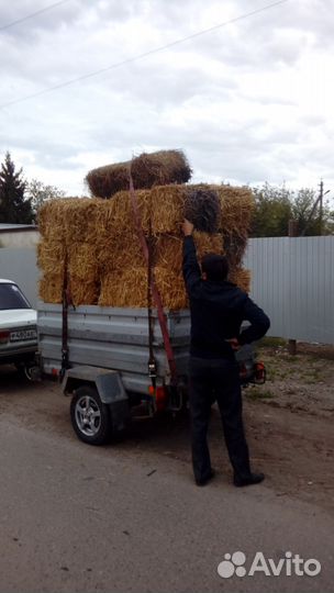 Спил деревьев.вывоз