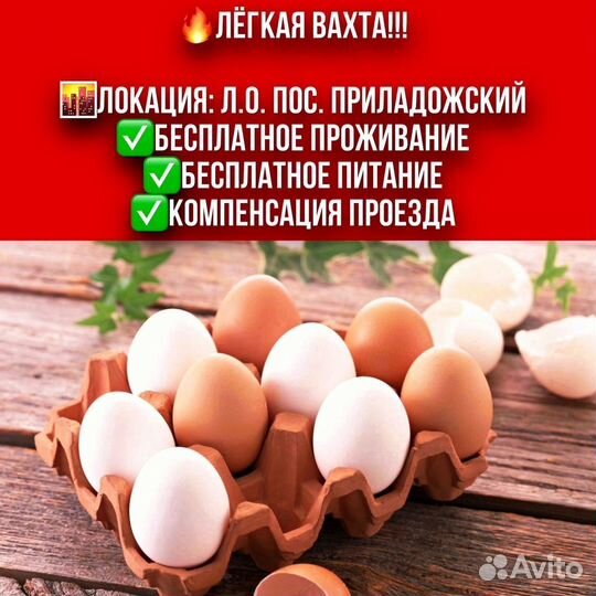 Упаковщик яиц. Вахта - 50км от СПБ