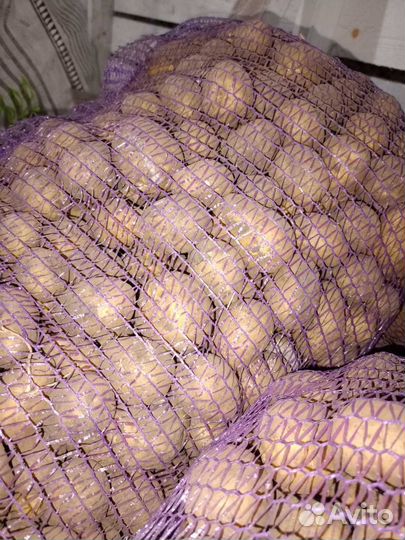 Картошка,хлеб