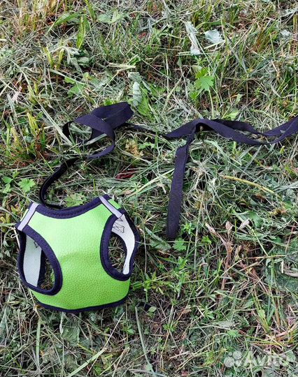 Шлейка поводок