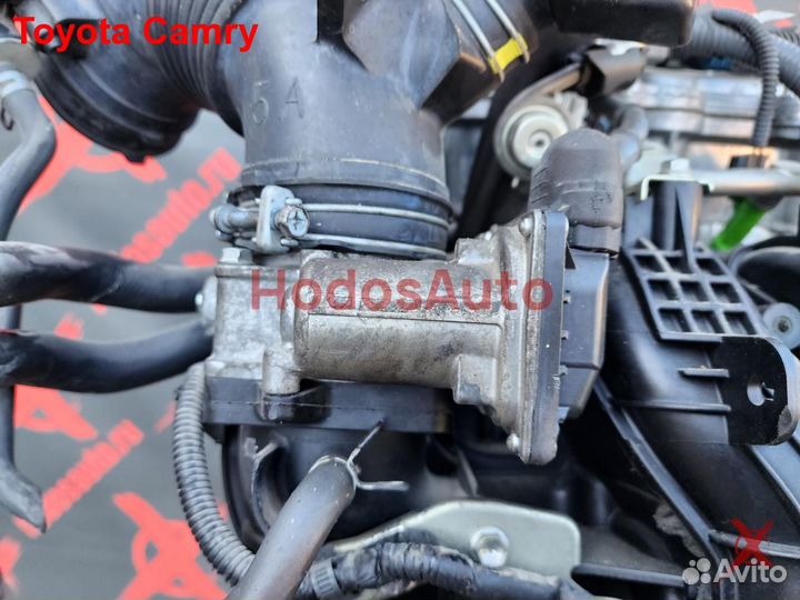 Двигатель 2AR-FE Toyota Camry