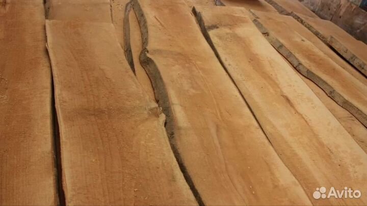 Доска бука необрезная