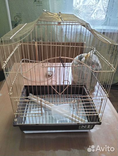 Клетка для попугая