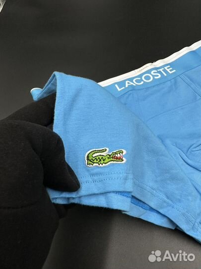 Комплект мужских трусов Lacoste