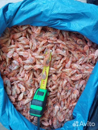Продам креветку оптом.Азовка,черноморка