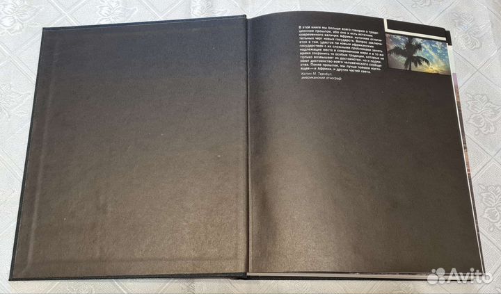 Книга Черный феникс С.Кулик