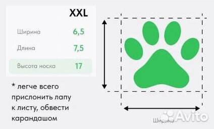Обувь для крупных собак