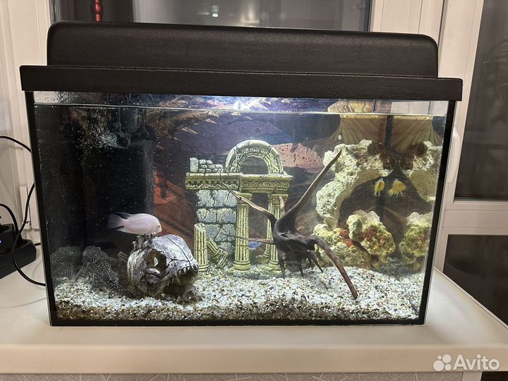 Аквариум