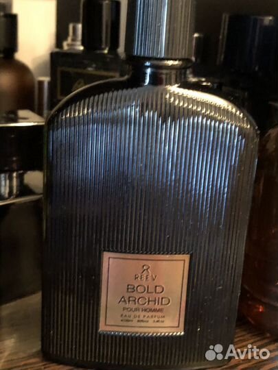 Bold Archid Pour Homme