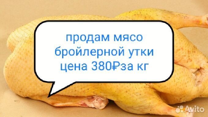 Продам мясо уток