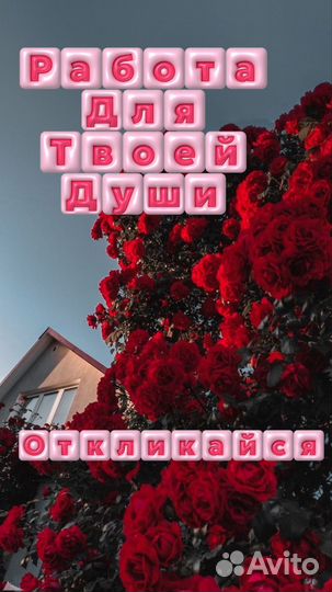 Ждём начинающего продавца