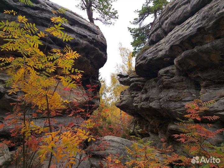 Тур в Каменный город и Усьвинские столбы
