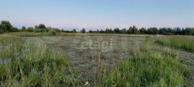 Участок 10,6 сот. (ИЖС)