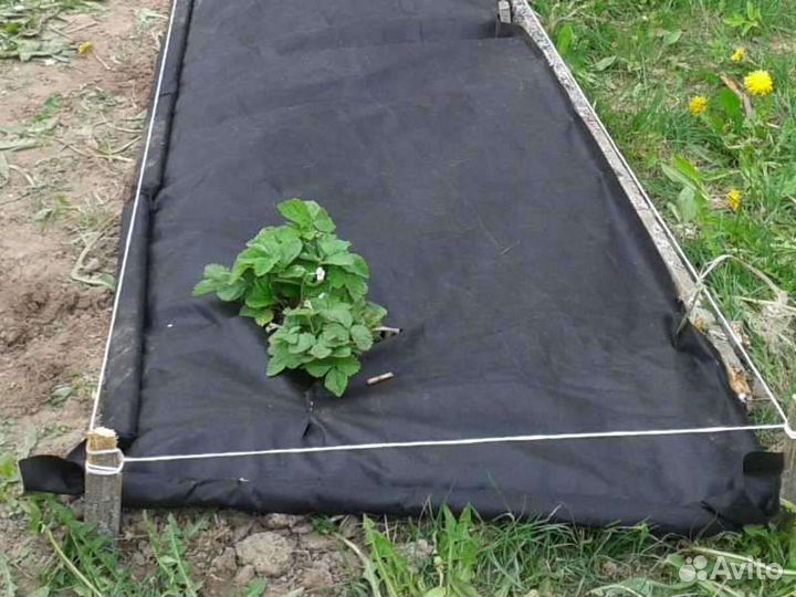 Укрывной материал спанбонд