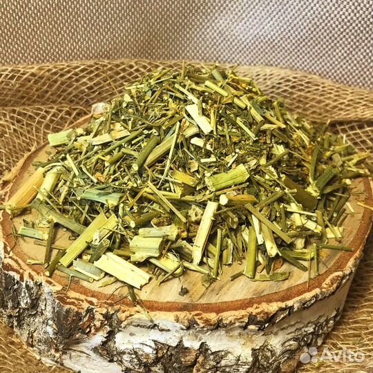 Сурепка Травы Алтая