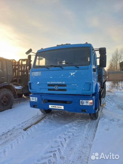 КАМАЗ 65117-N3, 2010