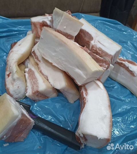 Сало свиное свежее