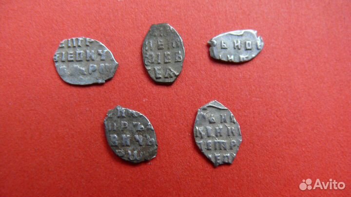 Серебряные чешуйки (деньги и копейки)