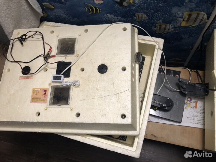 Инкубатор для яиц автоматический золушка