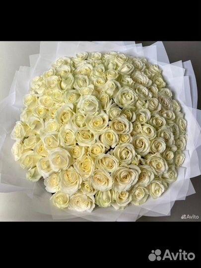 Пионыи и Розы круглосуточно