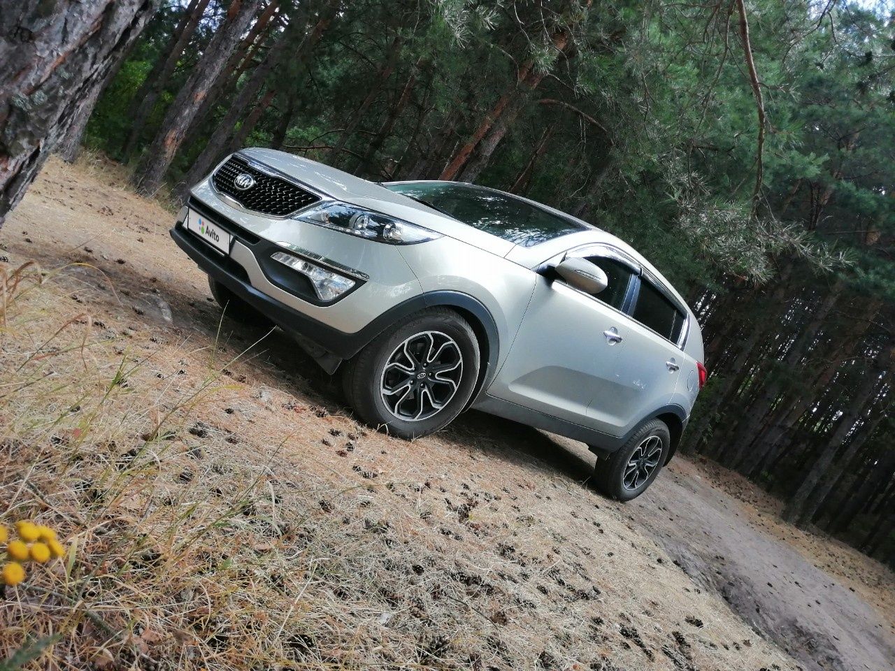 Kia Sportage: фото владельца