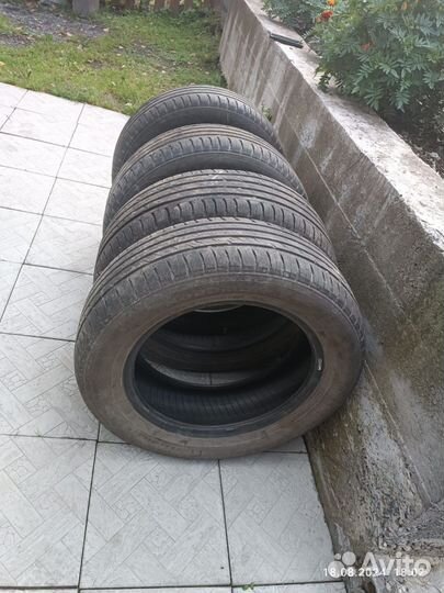 Nordman SX3 185/65 R15