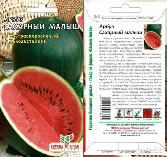 Рассада арбуза