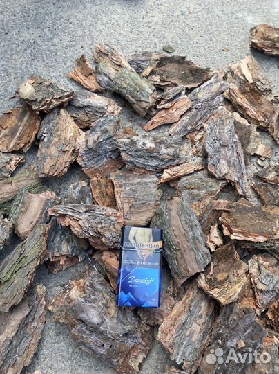 Сосновая кора