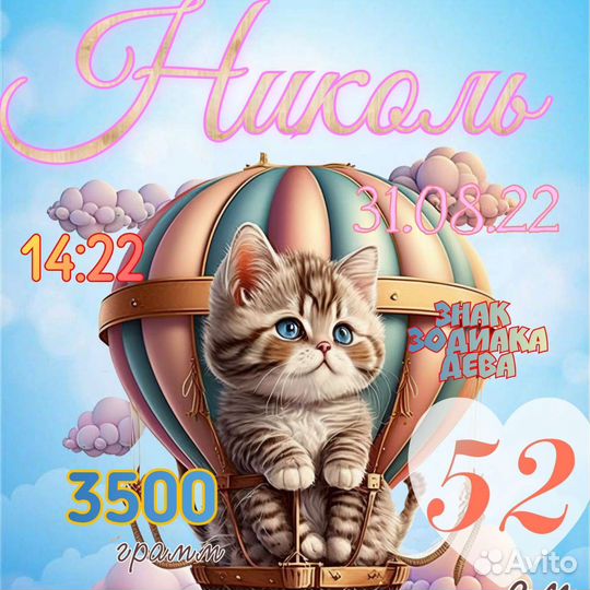 Детская Метрика