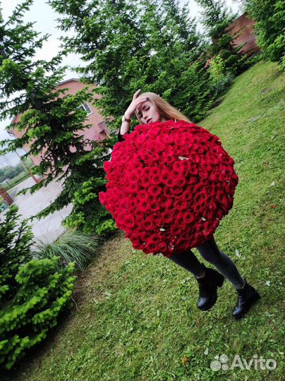 Букет из 301 голландской розы, любой цвет и размер