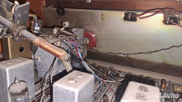 Радиола ригонда