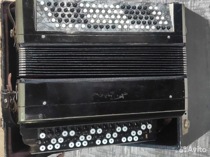 Баян тульский