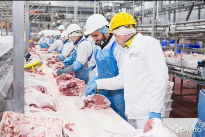 Разнорабочие