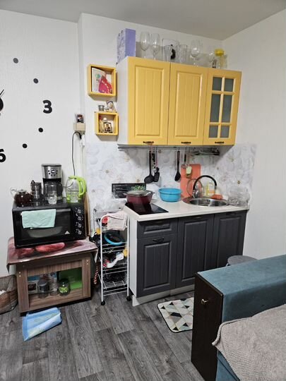 Квартира-студия, 24,1 м², 1/18 эт.