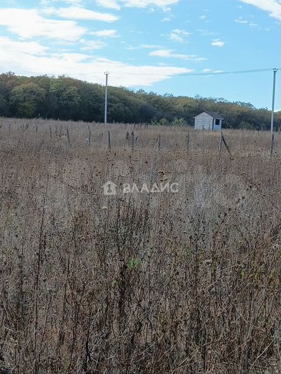 Участок 5 сот. (ИЖС)