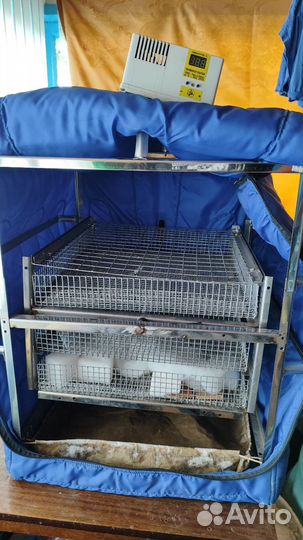 Инкубатор для яиц