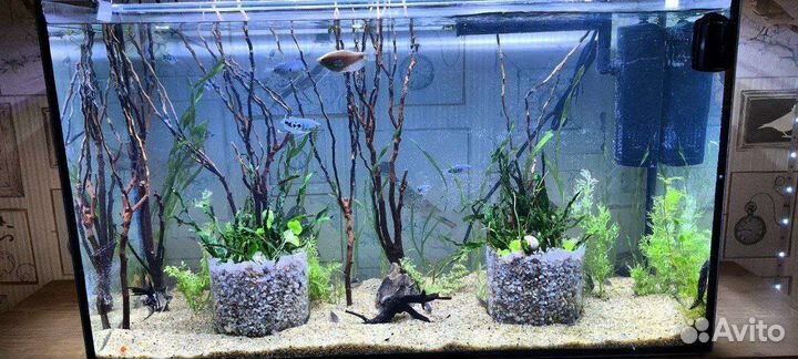 Аквариум