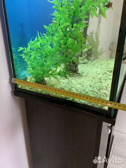 Аквариум 140 литров