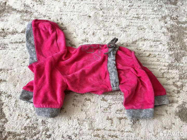 Одежда для собак