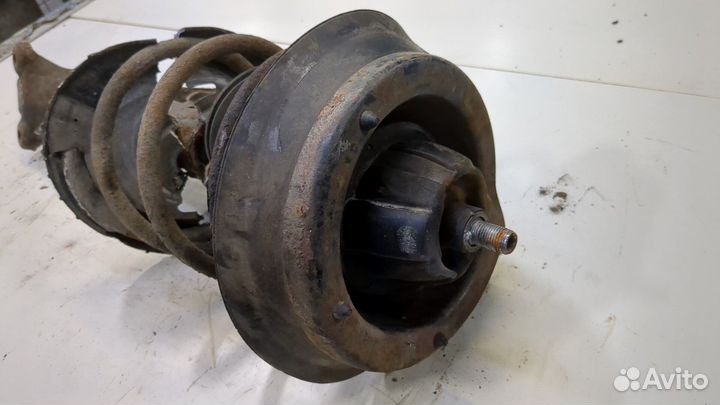 Амортизатор подвески Mercedes CLK W209, 2008