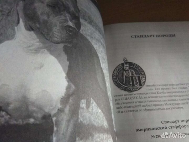 Книги о кошках и собаках