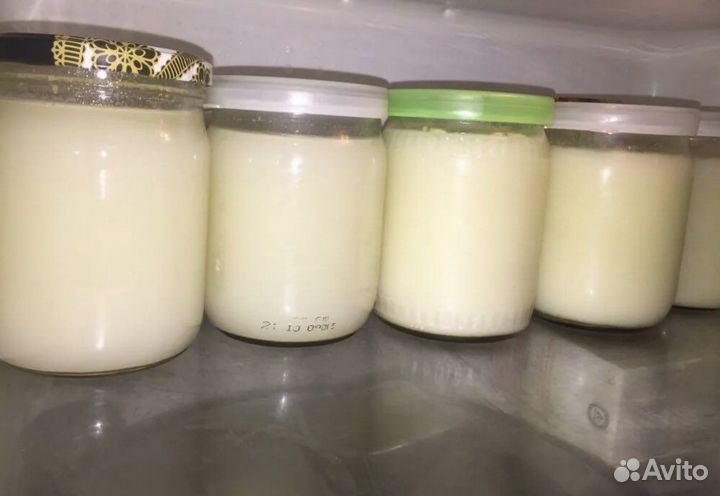 Барсучий жир от охотника
